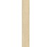 Плитка Sunwood Light - 10x60 CSASNL1060 Sunwood з колекції Sunwood Santagostino