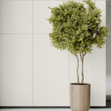 GRES MONOLIGHT EXTERIOR WHITE R10 RECT (1 сорт) GRES MONOLIGHT EXTERIOR WHITE R10 RECT (1 сорт)