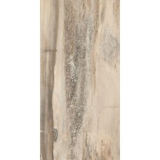 ректиф. (45х90) PETRIFIED TREE BEIGE TIGER CORE 948D1R з колекції Petrified Tree Emilceramica ректиф. (45х90) PETRIFIED TREE BEIGE TIGER CORE 948D1R з колекції Petrified Tree Emilceramica Petrified Tree Керамічна плитка Emil Ceramica — сторінка 2