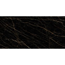 G1054 PORT LAURENT POLISHED 6 MM 160x320 (настінна)