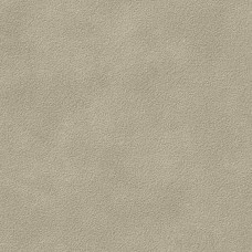60x60 Omni Platina Estr Rect-Omni-31211398U1 из коллекции Omni 60x60 Omni Platina Estr Rect-Omni-31211398U1 из коллекции Omni