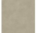 Плитка 60x60 Omni Platina Estr Rect-Omni-31211398U1 з колекції Omni Revigres