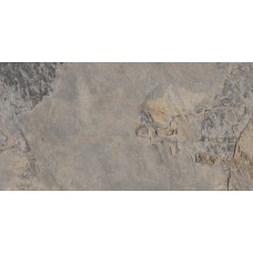 (32x62.5) Ardesia Gris - Ardesia з колекції Ardesia Ardesia Керамічна плитка Gayafores