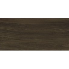 Ewood Nut Nature 120x250 XLight з колекції XLight Urbatek плитка — сторінка 17