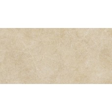 30x60 R9KY Argent Miele PtvRt Realstone Argent з колекції Realstone_Argent 30x60 R9KY Argent Miele PtvRt Realstone Argent з колекції Realstone_Argent