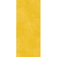 120x280 167508  YELLOW LOGO Tonino Lamborghini Korium з колекції Korium Tonino Lamborghini Tonino Lamborghini: колекції з іменами автодромів Формули-1 — сторінка 5