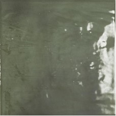 Verde 22.5x22.5 Klimt з колекції Klimt Klimt Керамічна плитка Bestile