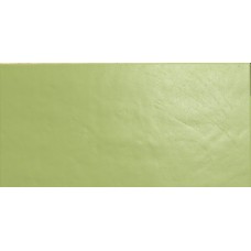 30x60 Arch. Acid Green Gloss - Architecture - 3796512 з колекції Architecture Architecture Керамическая плитка Casalgrande Padana — страница 2