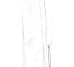 Плитка Am 2 Sahara Blanc Honed Ret - 78.7x178.7 99984 Archimarble 2 из коллекции Archimarble 2 Cerdisa