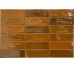 Плитка Calpe Terra - 5x15 MYCA000007 Calpe з колекції Calpe Mayolica