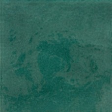 15x15 1529 Verde Bottiglia Provenzale з колекції Provenzale Provenzale Керамічна плитка Tonalite