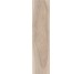Плитка (40x170) AN4713R Aspen Natural Ret. - Place 2B з колекції Place 2B Flaviker