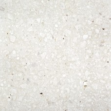 MOON WHITE 100x100 (плитка для пола и стен)