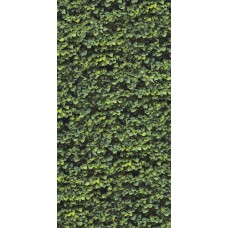 120x240 Arborea C - Limpha - 11560223 з колекції Limpha 120x240 Arborea C - Limpha - 11560223 з колекції Limpha Limpha Керамічна плитка Casalgrande Padana