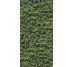 Плитка 120x240 Arborea C - Limpha - 11560223 з колекції Limpha Casalgrande Padana