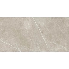 Nival Gris Mate Satinado Rect - 60x120 Nival з колекції Nival Nival Gris Mate Satinado Rect - 60x120 Nival з колекції Nival Nival Керамічна плитка Halcon