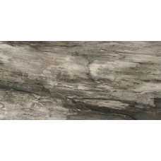 Grey Bark Nat 45x90 Petrified Tree з колекції Petrified Tree Grey Bark Nat 45x90 Petrified Tree з колекції Petrified Tree Petrified Tree Керамічна плитка Emil Ceramica