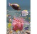 Декор (27х60) DECOR CARIBE-3 (комплект з 3шт) з колекції Hipnotic Novogres