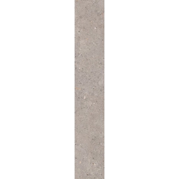 Плитка 20x120 Bi Grey - Biophilic - P009526 з колекції Biophilic Pastorelli