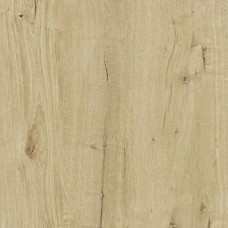 60x60 Woodtale Xt20 Miele Rt - Woodtale XT20 - R4XG з колекції Woodtale XT20