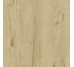 Плитка 60x60 Woodtale Xt20 Miele Rt - Woodtale XT20 - R4XG з колекції Woodtale XT20 Ragno