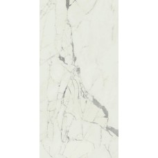 (60x120) ACCH An. Statuariort Rt - Anima з колекції Anima Anima Керамічна плитка Caesar