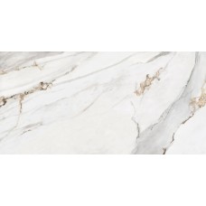 F MARBLE APUANO R - 60x120 F1GR154011 Marble Apuano з колекції Marble Apuano F MARBLE APUANO R - 60x120 F1GR154011 Marble Apuano з колекції Marble Apuano Marble Apuano