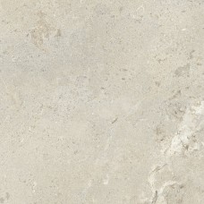 Signature Stone Beige - 59.7x59.7 DSS620R Signature Stone з колекції Signature Stone Ascot Ascot Ceramiche: плитка як художнє полотно, з 1974 року — сторінка 11