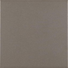 Base Gris 20x20 Antigua з колекції Antigua Base Gris 20x20 Antigua з колекції Antigua Antigua Керамічна плитка Ribesalbes