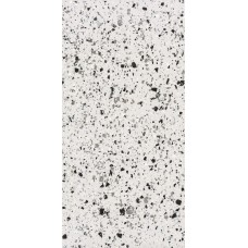 TECH ARGENTO LEVIGATO - 60x120 14467056 Terrazzotech з колекції Terrazzotech TECH ARGENTO LEVIGATO - 60x120 14467056 Terrazzotech з колекції Terrazzotech Terrazzotech