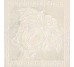 Декор (14.4x14.4) 2403810 Toz. Medusa Bianco Lev - Marble з колекції Marble Versace
