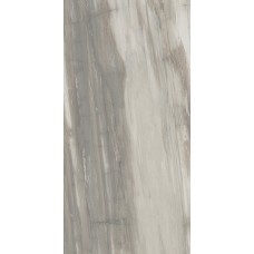(30x60) PO340 Petrified Wood Grey - Petrified Wood з колекції Petrified Wood Ascot (30x60) PO340 Petrified Wood Grey - Petrified Wood з колекції Petrified Wood Ascot
