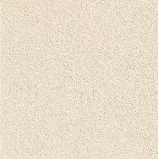 (60x60) 3121130T61 Ecompact Bone Est. Re - Ecompact из коллекции Ecompact (60x60) 3121130T61 Ecompact Bone Est. Re - Ecompact из коллекции Ecompact Ecompact Керамическая плитка Revigres