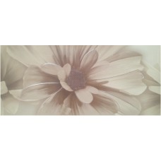 Декор Dk Maritamarron 30Х70 з колекції Alba Декор Dk Maritamarron 30Х70 з колекції Alba Alba