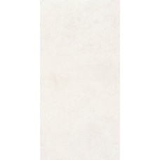60x120 Silkystone Light - Silkystone - CSASKLI612 з колекції Silkystone Sant Agostino 60x120 Silkystone Light - Silkystone - CSASKLI612 з колекції Silkystone Sant Agostino Silkystone Керамическая плитка SANTAGOSTINO