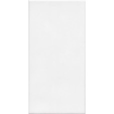 (20x40) 3121C9A021 Branco Mate Natural - Branco из коллекции Aluminium Branco Керамическая плитка Revigres