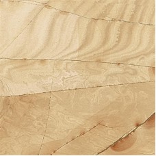 G Mitic Dorado 45x45 Dream STN из коллекции Dream STN G Mitic Dorado 45x45 Dream STN из коллекции Dream STN Dream Керамическая плитка STN Ceramica