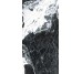 Плитка 59.6x119.2 0500882 Marble Effect-Noir Antique Roberto Cavalli Lush з колекції Lush Roberto Cavalli