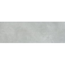 25x75 Evolution Grey Plane - Evolution - EVO2504 з колекції Evolution Ascot 25x75 Evolution Grey Plane - Evolution - EVO2504 з колекції Evolution Ascot Ascot Ceramiche: плитка як художнє полотно, з 1974 року — сторінка 2