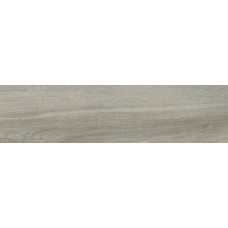 25x100 Paliano Silver Natural-Paliano з колекції Paliano PALIANO Керамічна плитка Tau