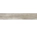 Плитка (16x99.5) FC1640O Focus Cinder Out - Focus из коллекции Focus Ascot