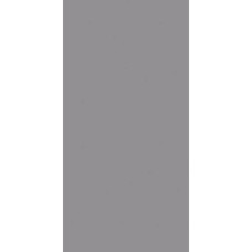 (30x60) 31002118C1 Iron Brilho Nat - Unicolor из коллекции Unicolor (30x60) 31002118C1 Iron Brilho Nat - Unicolor из коллекции Unicolor Unicolor Керамическая плитка Revigres