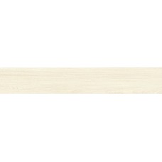 15x90 Pith R. - Giant - NA73 з колекції Giant 15x90 Pith R. - Giant - NA73 з колекції Giant