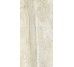 Плитка Invictus Beige - 30x60 CSAINVBE30 Invictus з колекції Invictus Santagostino