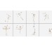 Декор (20x20) Chef SetOf8pz (Bianco L.111) - Chef з колекції Chef Bardelli