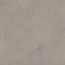 Taupe Matt R10 60x60 Nux Fap из коллекции Nux Fap Taupe Matt R10 60x60 Nux Fap из коллекции Nux Fap