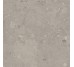 FREEDUST GREY MAT 59.8х59.8 (плитка для пола и стен) 8 мм