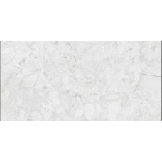 60X120 Aracruz Blanco Rec. з колекції Aracruz Aracruz Керамічна плитка Grespania