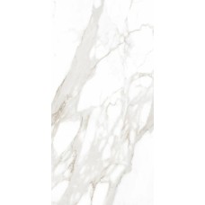60x120 R8SF Incanto Calacatta NobileRt Incanto з колекції Incanto Incanto Керамічна плитка Ragno — сторінка 4