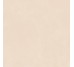 Плитка Insideart Sand Nat - 120x120 CSAIASN212 Insideart Color з колекції Insideart Color Santagostino